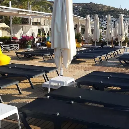 Alya Turkbuku Beach Hotel